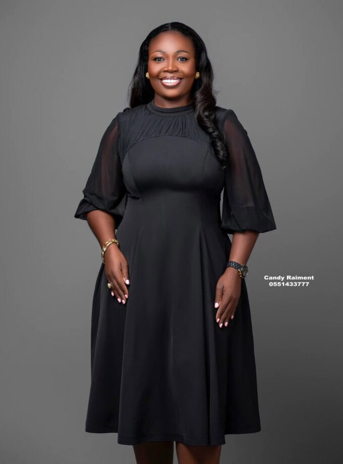 The Sheer Sleeve Dress